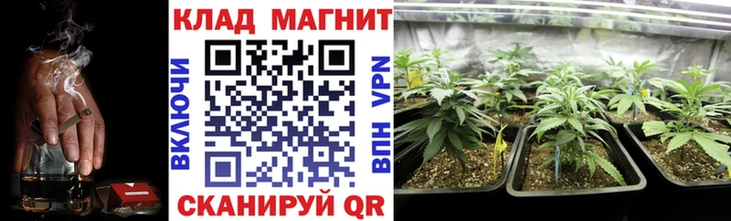Купить закладку APVP Меф COCAIN Полярные Зори