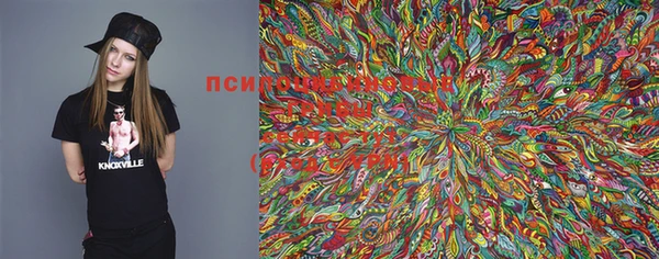прущая мука Вяземский
