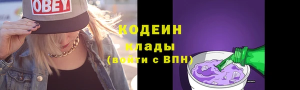 прущая мука Вяземский