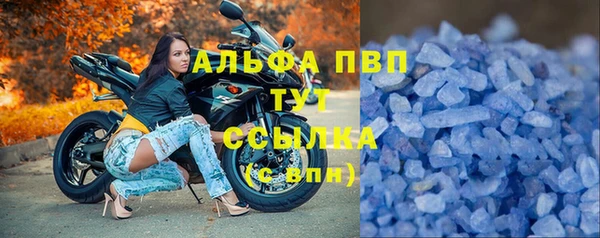 прущая мука Вяземский