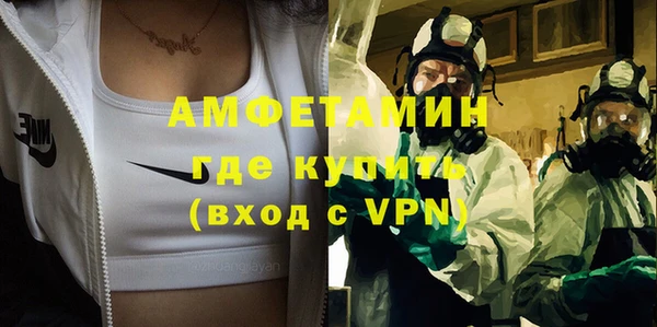 прущая мука Вяземский