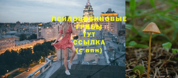 прущая мука Вяземский